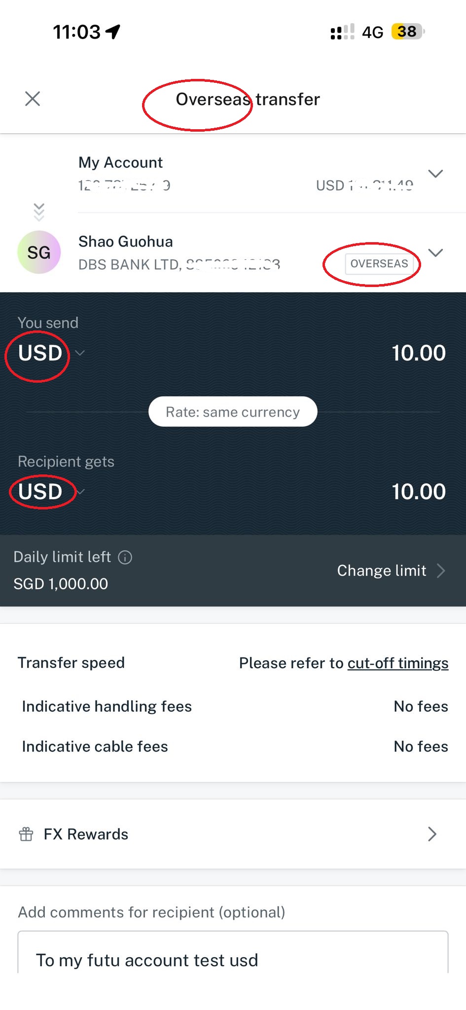 oversea_transfer_info.jpeg